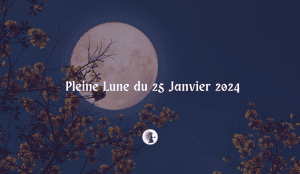 La Fée Melisande- Pleine Lune Janvier 2024